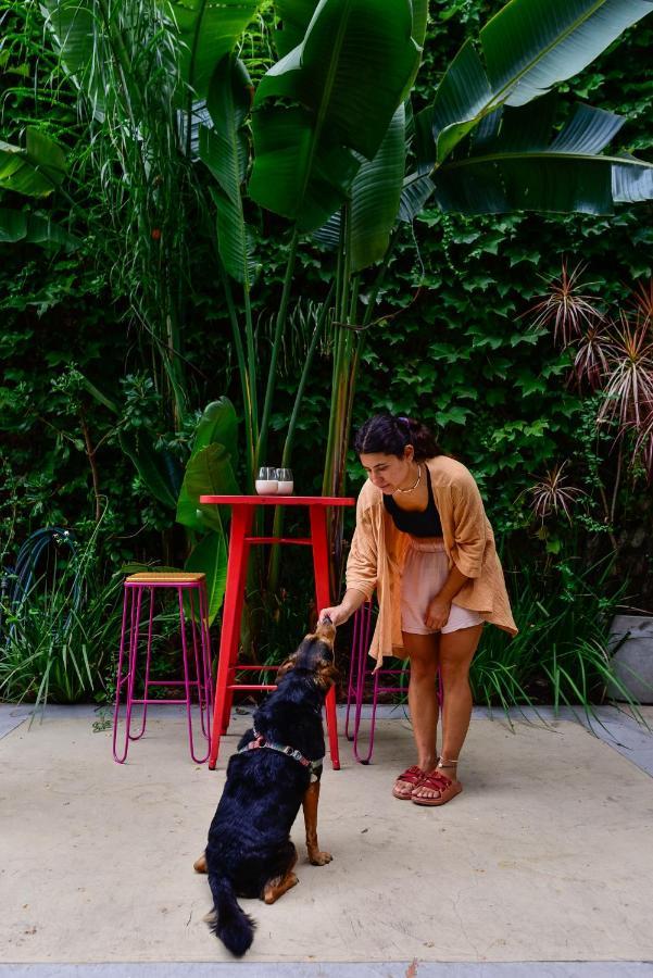 Casa Caravan - Plant Based Concept House Buenos Aires Zewnętrze zdjęcie